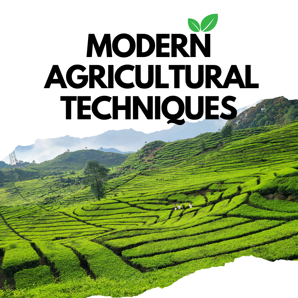 agriculture techniques | Ajaykumar bishnoi